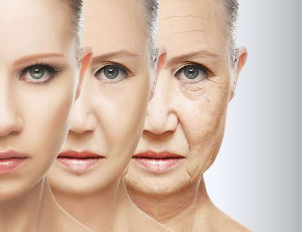 Anti Aging