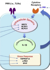pathway of disorders